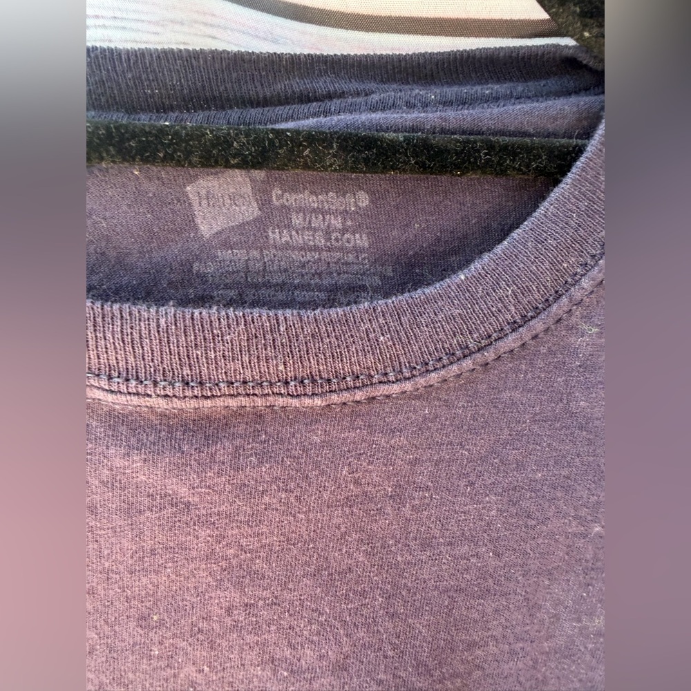 Hanes Men's Crewneck T -Shirt in Deep Purple